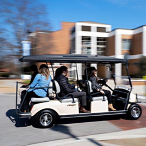 Villager golf cart